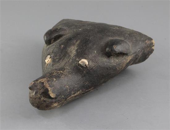 A Papua New Guinea carved and painted wood dogs head canoe prow, with shell inset eyes, 26cm